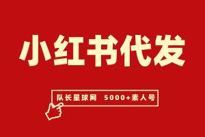 小红书种草代发,快手抖音代发业务 (欢迎商家放单)